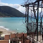 Wild Seagull Daire Vasiliki