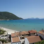 Wild Seagull Vasiliki